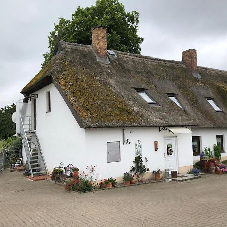 Ferienwohnung Landhaus Zurow Kültér fotó