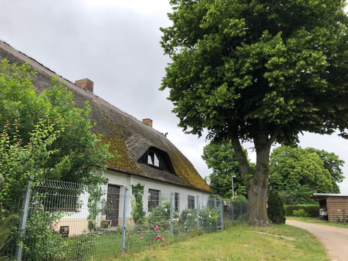 Ferienwohnung Landhaus Zurow Kültér fotó